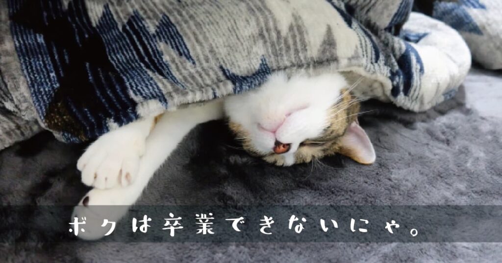 猫とこたつ